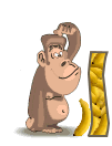 4334singe-9_1.gif