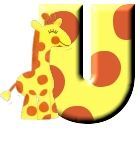 4343-giraffe-21.jpg