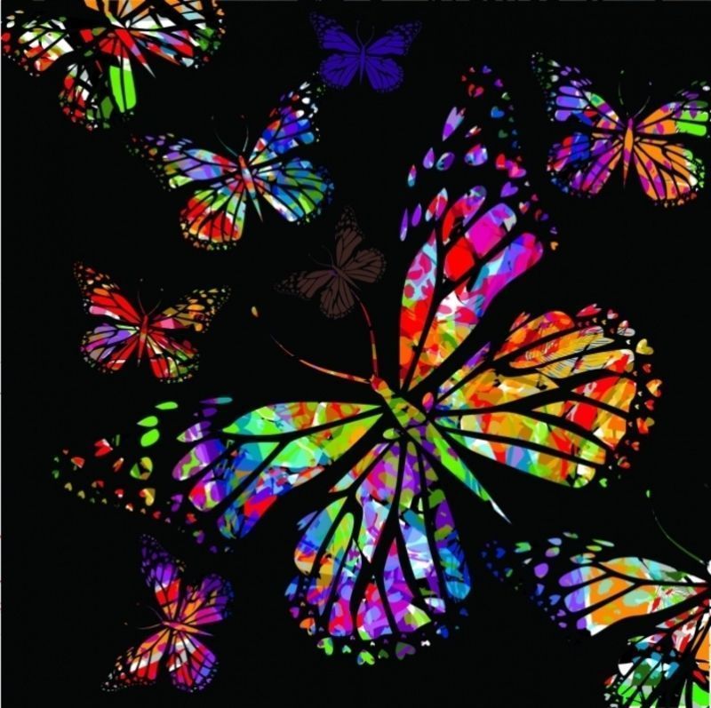 4846702_butterflies_2.jpg