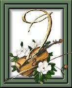 505405violon-10.jpg