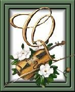 505405violon-17.jpg