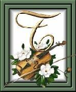 505405violon-20.jpg