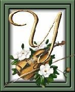 505405violon-25.jpg