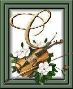 505405violon-3.jpg