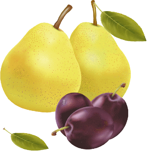 521523poireprunefruit1.gif