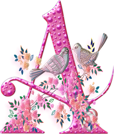 55456oiseaux-1.png