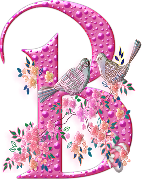 55456oiseaux-2.png