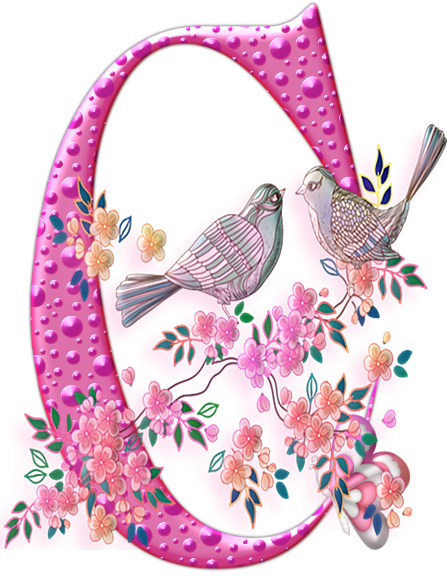 55456oiseaux-3.png