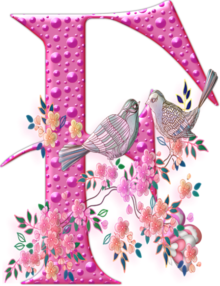 55456oiseaux-6.png