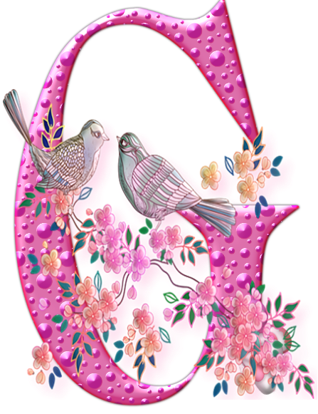 55456oiseaux-7.png