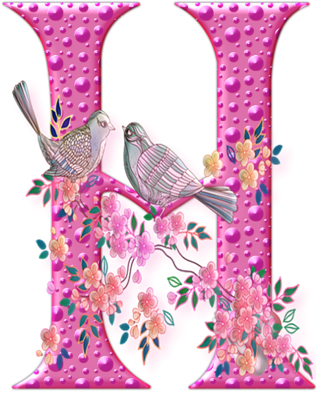 55456oiseaux-8.png