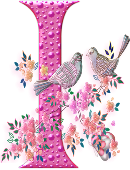 55456oiseaux-9.png