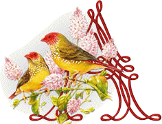 554oiseaux-1.gif