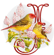 554oiseaux-10.gif