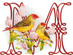 554oiseaux-13.gif