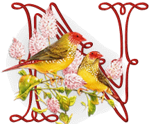 554oiseaux-14.gif