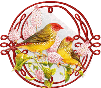 554oiseaux-15.gif
