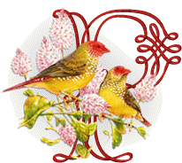 554oiseaux-16.gif