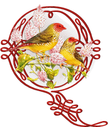 554oiseaux-17.gif