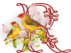 554oiseaux-18.gif