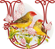 554oiseaux-21.gif