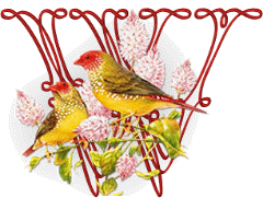 554oiseaux-23.gif