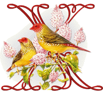 554oiseaux-24.gif
