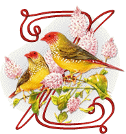 554oiseaux-26.gif