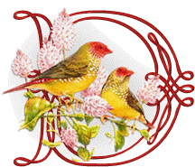 554oiseaux-4.gif