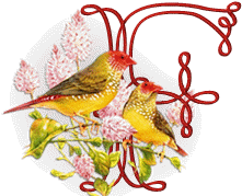 554oiseaux-6.gif