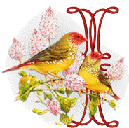 554oiseaux-9.gif