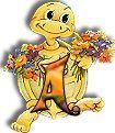 554tortue-1.jpg