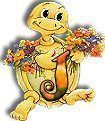 554tortue-10.jpg