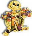554tortue-14.jpg