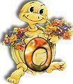 554tortue-15.jpg