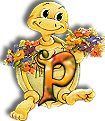 554tortue-16.jpg