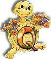 554tortue-17.jpg