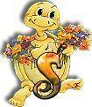 554tortue-19.jpg