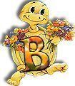 554tortue-2.jpg
