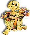 554tortue-20.jpg