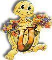 554tortue-21.jpg