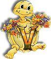 554tortue-22.jpg