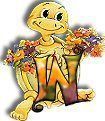 554tortue-23.jpg
