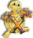 554tortue-24.jpg