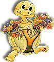 554tortue-25.jpg