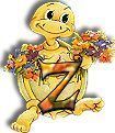 554tortue-26.jpg