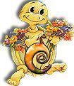 554tortue-3.jpg