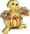 554tortue-4.jpg