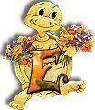 554tortue-5.jpg