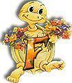554tortue-6.jpg